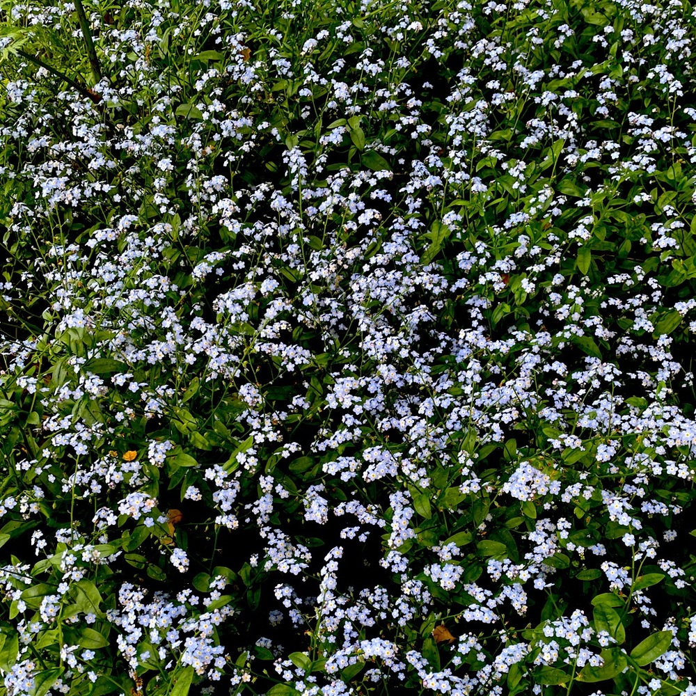 Meet your Posher, Carly